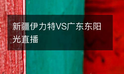 新疆伊力特VS廣東東陽光直播